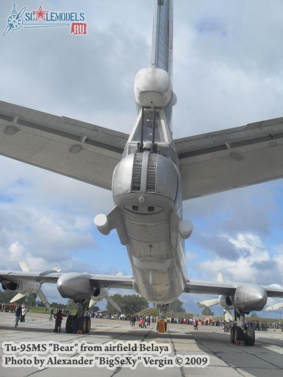 w_tu95_belaya_42.jpg