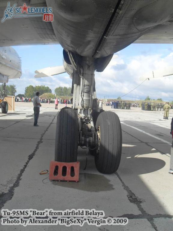 w_tu95_belaya_44.jpg