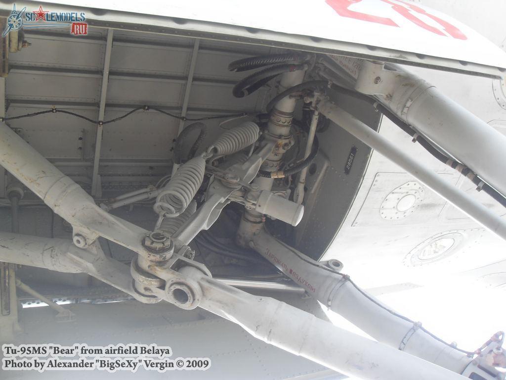 w_tu95_belaya_60.jpg
