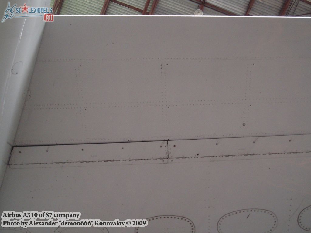 w_airbus310_95.jpg