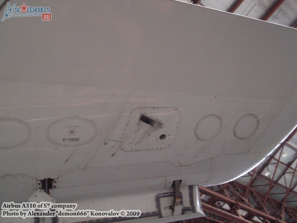 w_airbus310_98.jpg