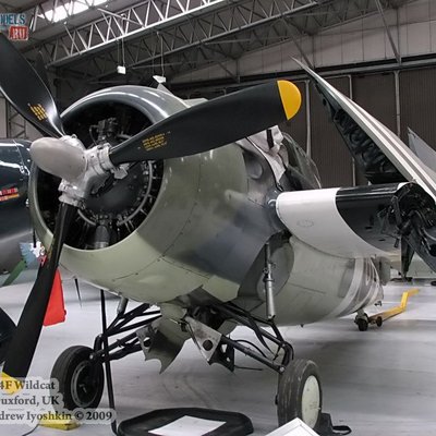 F4F Wildcat (IWM Duxford, UK)