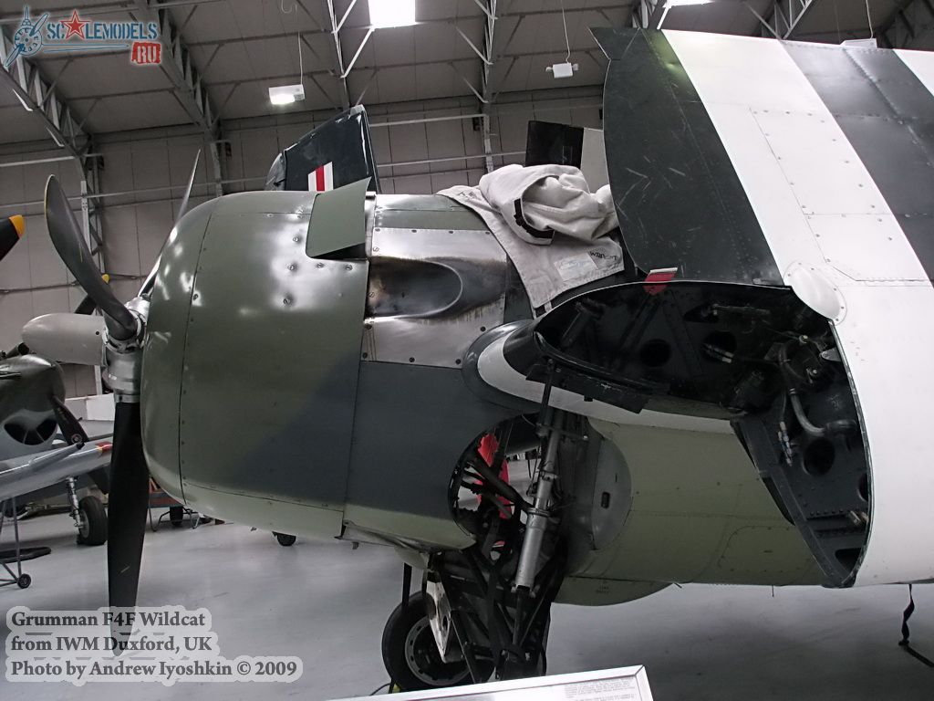 w_wildcat_duxford_11.jpg