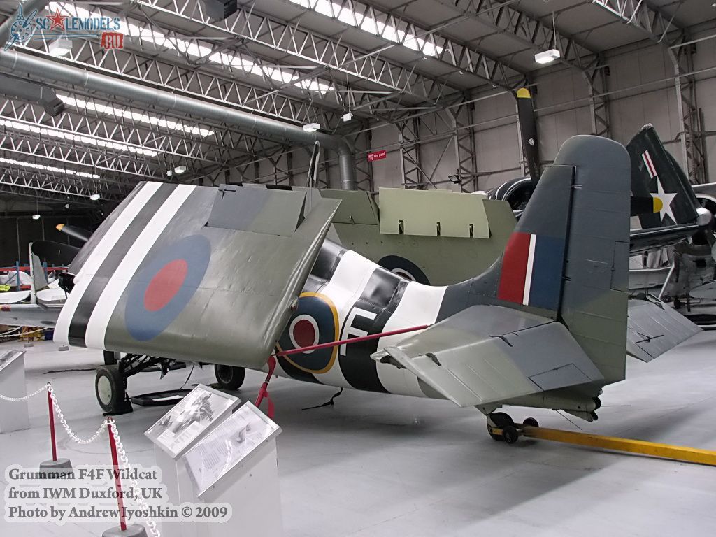 w_wildcat_duxford_14.jpg