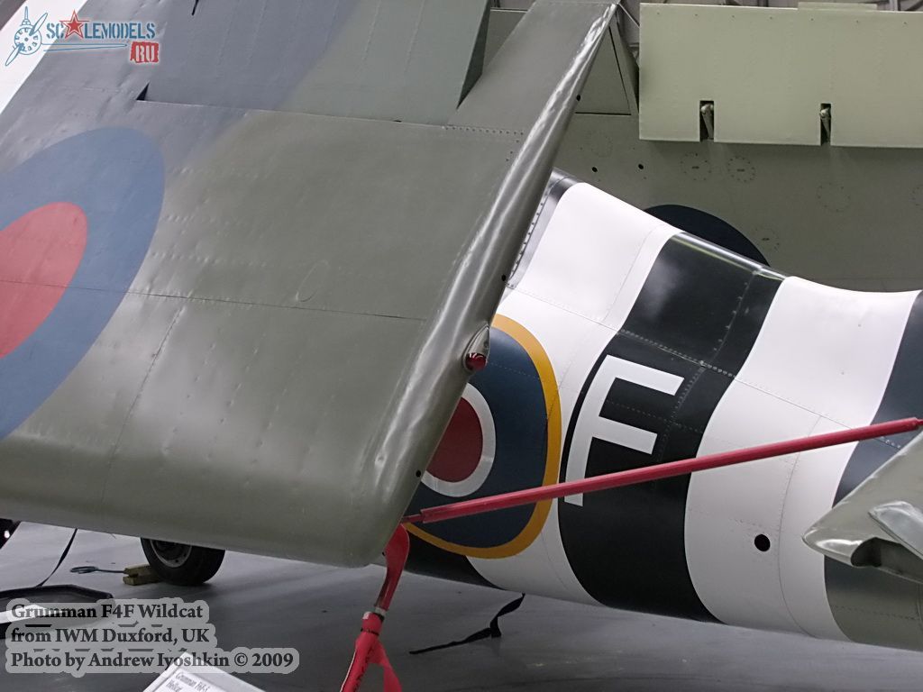 w_wildcat_duxford_16.jpg