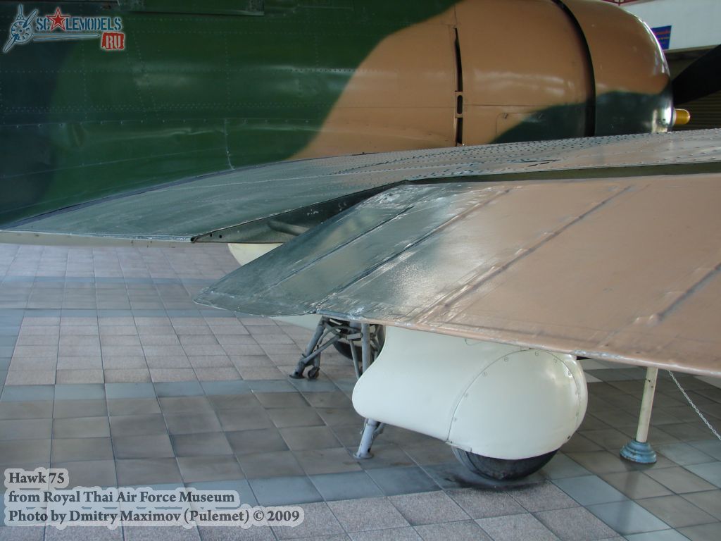 w_hawk75_thai_58.jpg