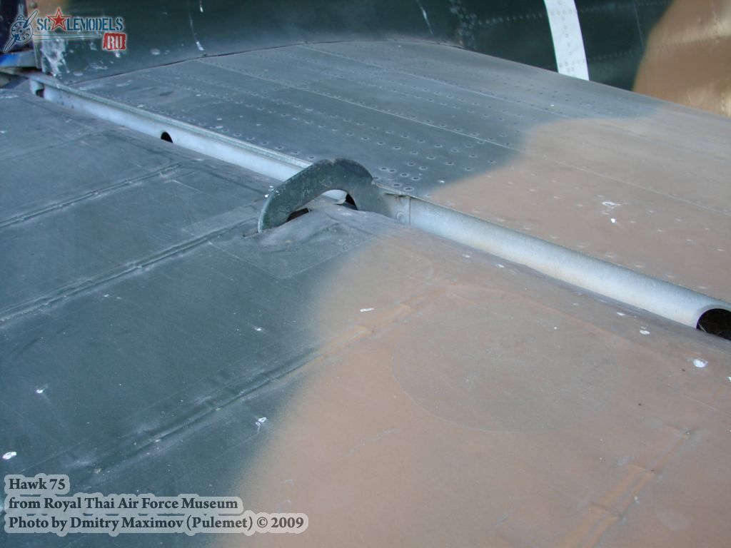 w_hawk75_thai_92.jpg