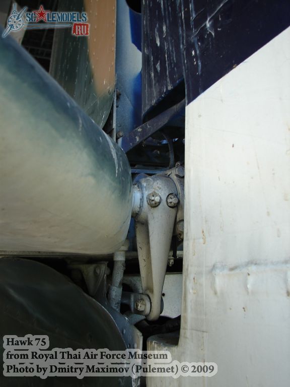 w_hawk75_thai_112.jpg