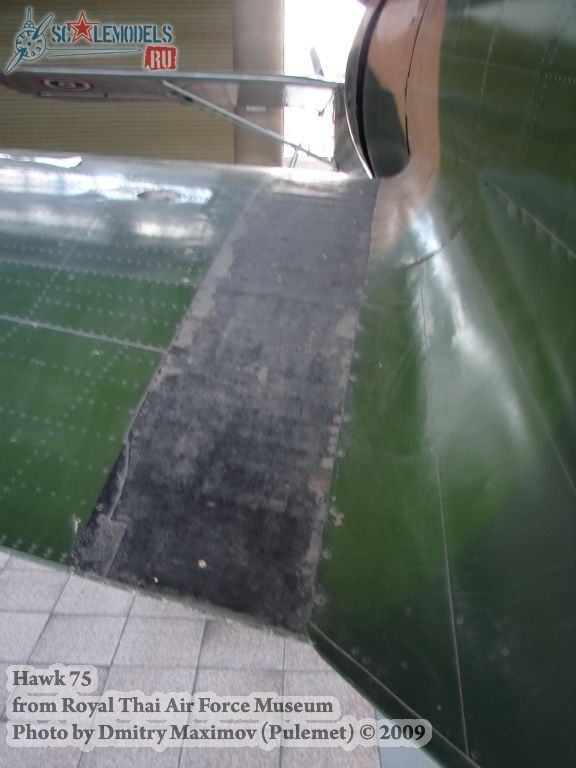 w_hawk75_thai_147.jpg