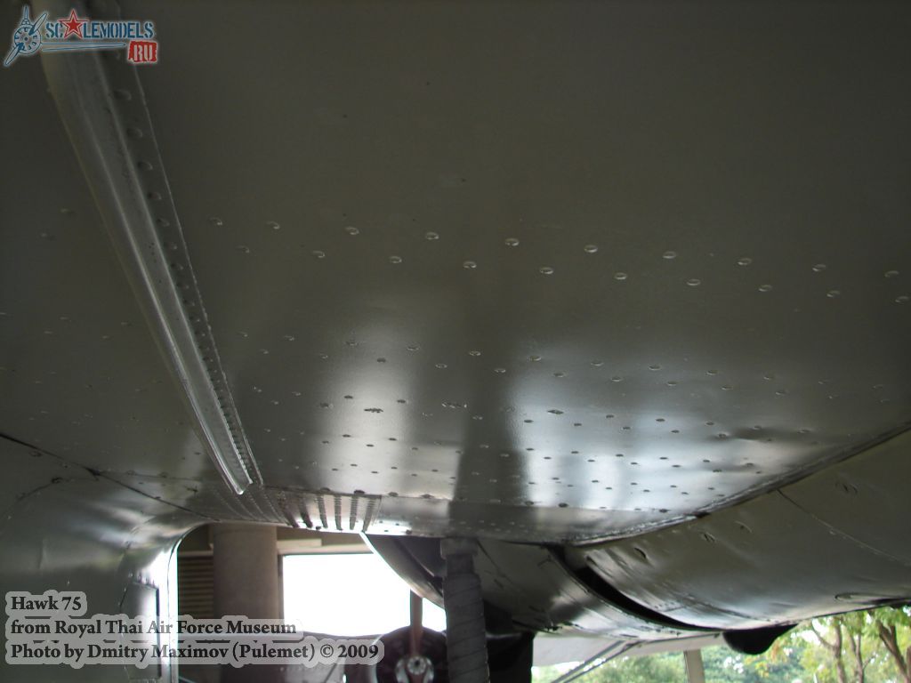 w_hawk75_thai_157.jpg