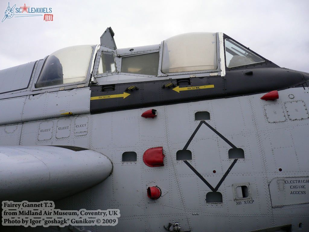 w_gannet_coventry_15.jpg