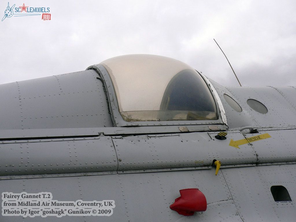 w_gannet_coventry_18.jpg