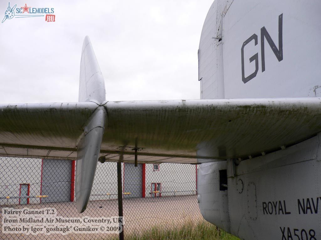 w_gannet_coventry_19.jpg