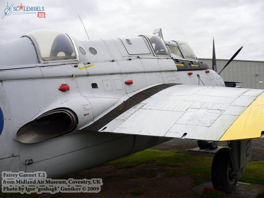 w_gannet_coventry_23.jpg