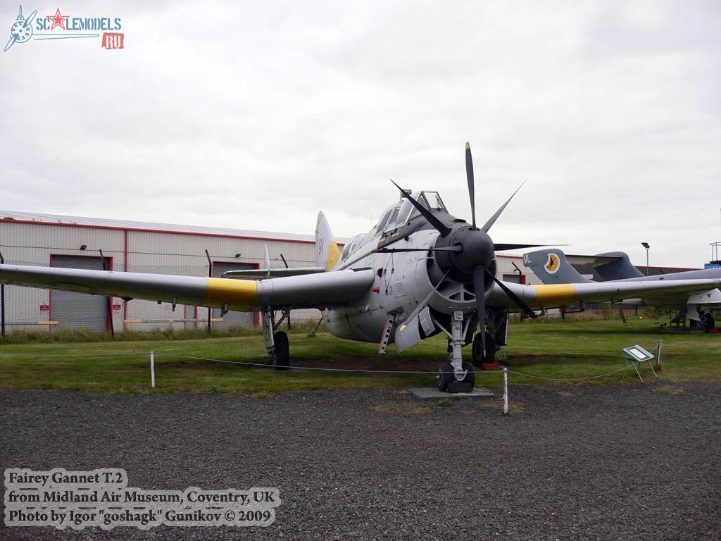 w_gannet_coventry_26.jpg