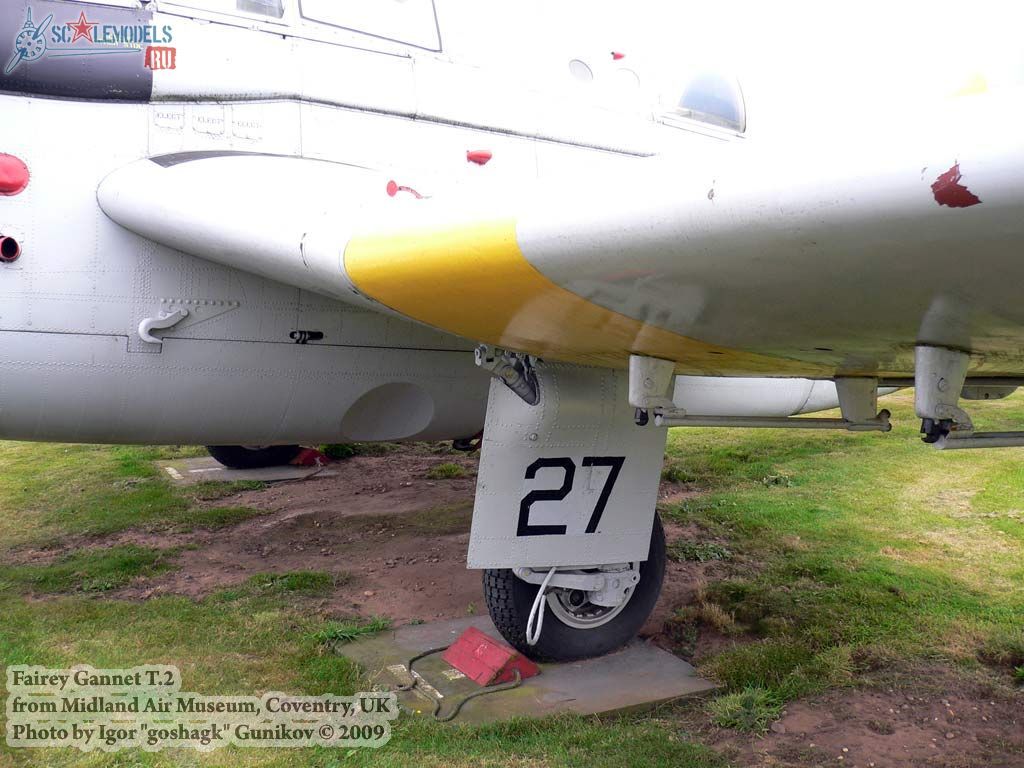w_gannet_coventry_28.jpg