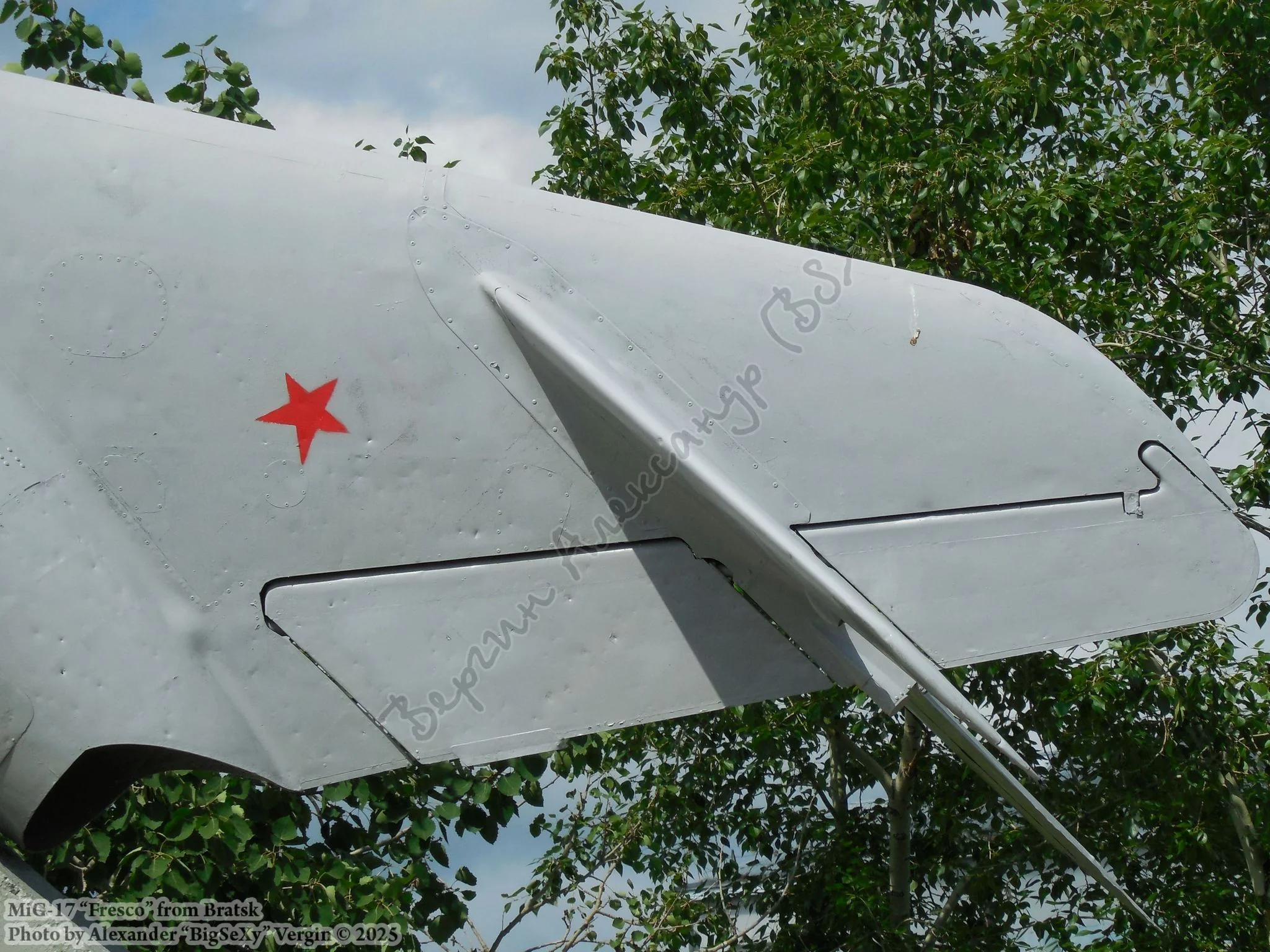 MiG-17_028.webp