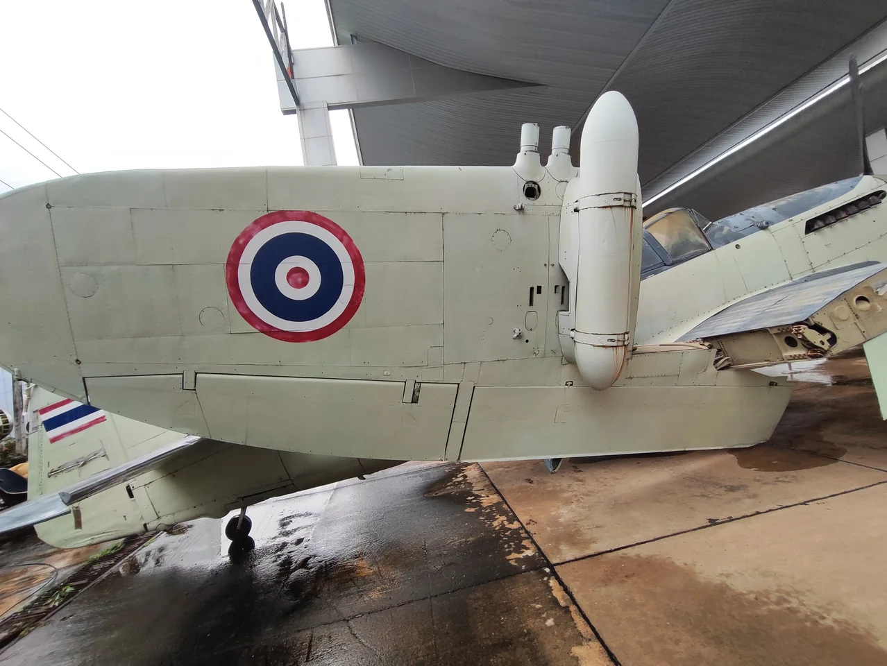 1763466023757 (1).jpg