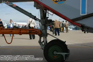 w_mig35_maks2009_51.jpg
