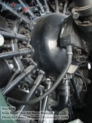 w_hawk75_thai_25.jpg