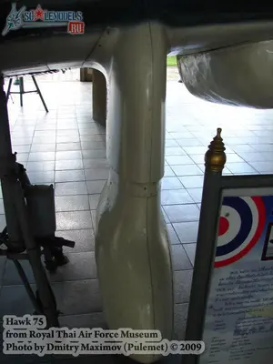 w_hawk75_thai_162.jpg