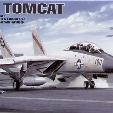 Grumman F-14 Tomcat