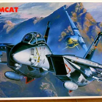 Grumman F-14A Tomcat