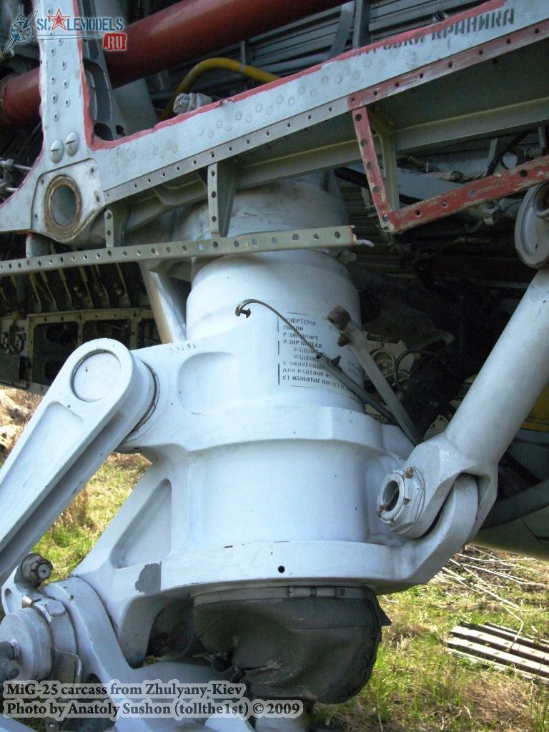 w_mig25_zhulyany_19.jpg