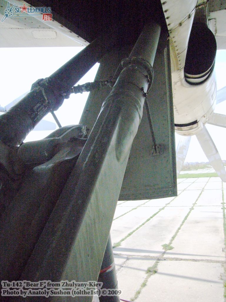 w_tu142_zhulyany_5.jpg