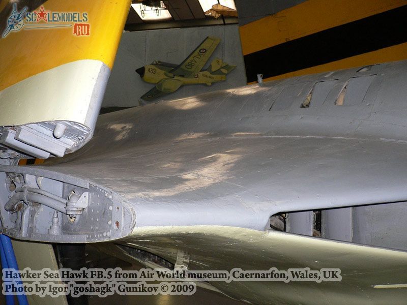 w_seahawk_airworld_35.jpg