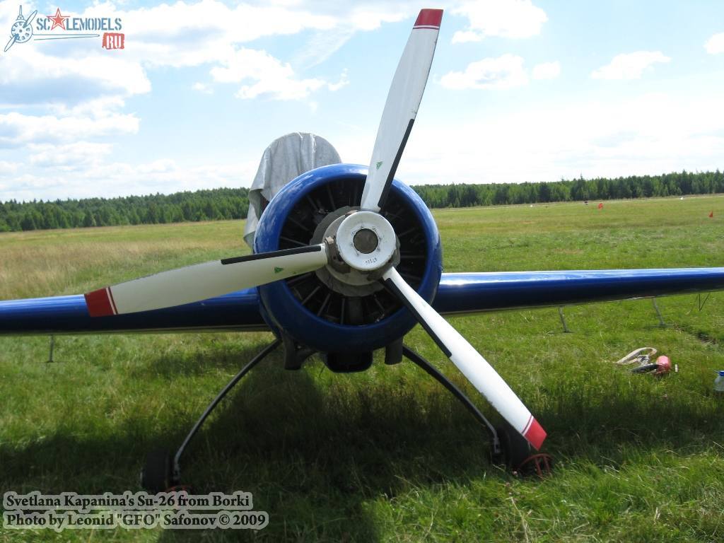 w_su26_borki_1.jpg