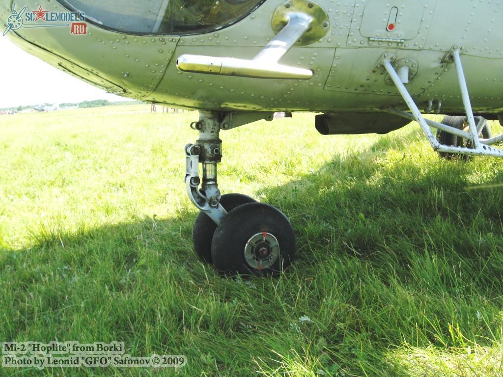 w_mi2_borki_8.jpg