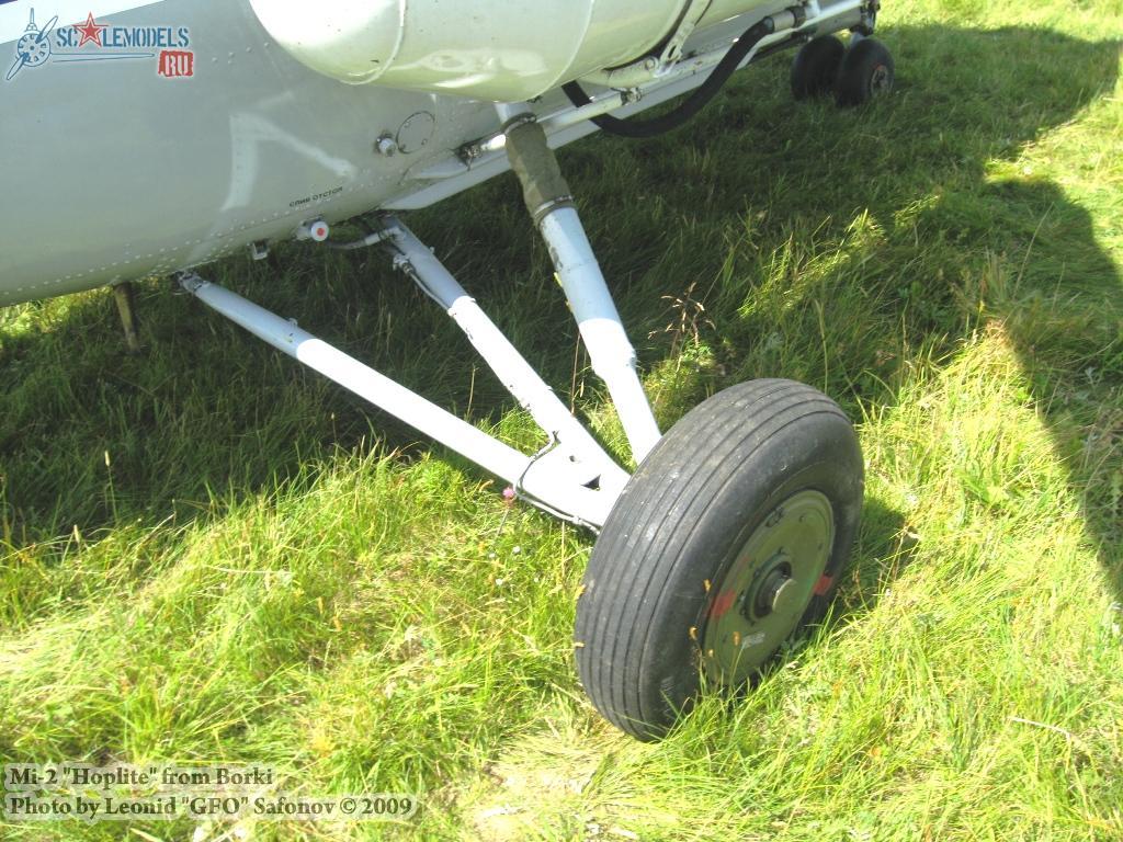 w_mi2_borki_24.jpg