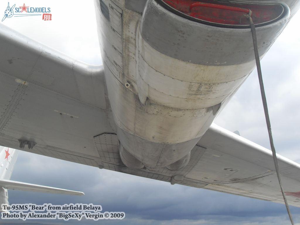 w_tu95_belaya_10.jpg
