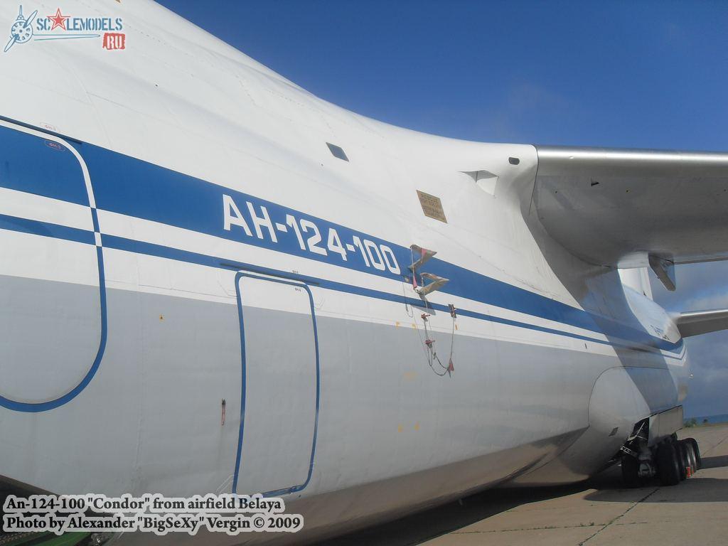 w_an124_100_belaya_22.jpg