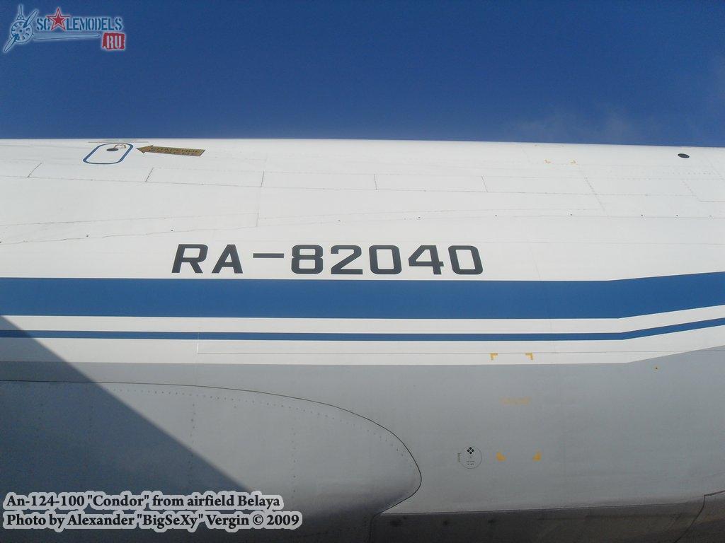 w_an124_100_belaya_40.jpg