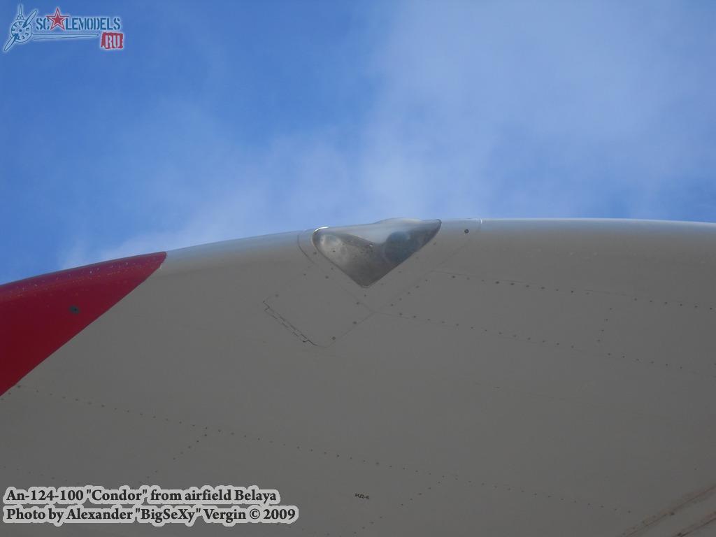 w_an124_100_belaya_67.jpg