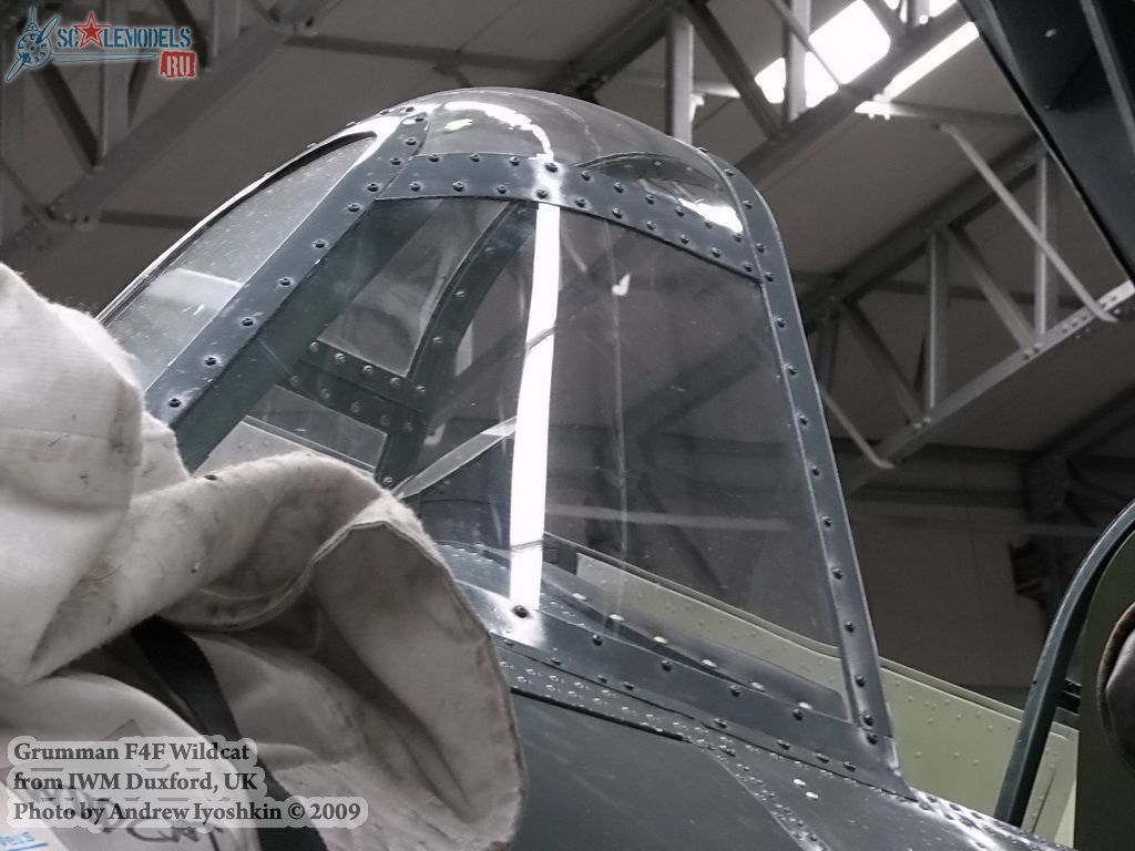 w_wildcat_duxford_22.jpg