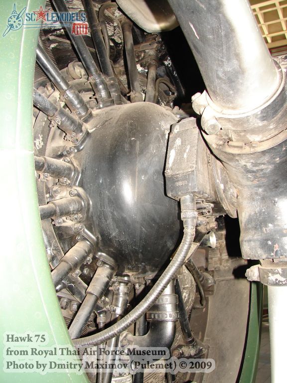 w_hawk75_thai_33.jpg