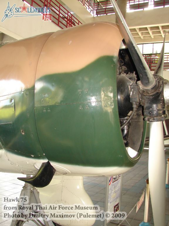 w_hawk75_thai_35.jpg