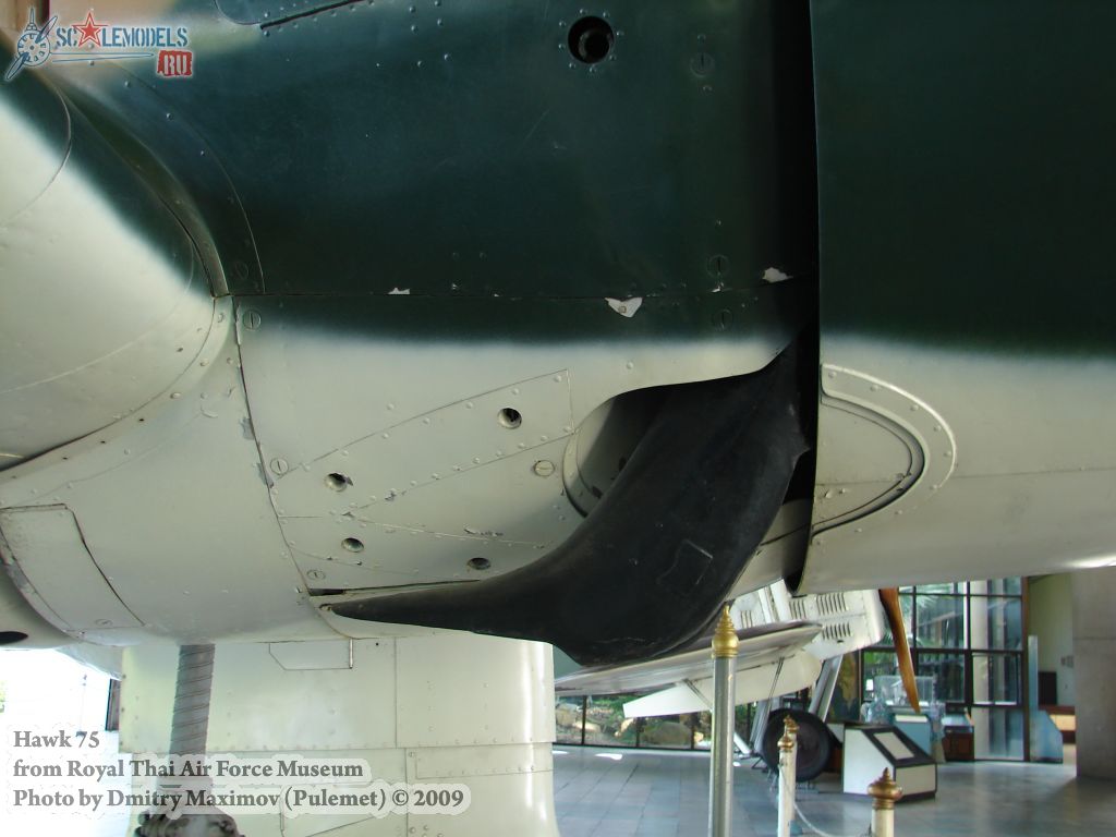 w_hawk75_thai_39.jpg
