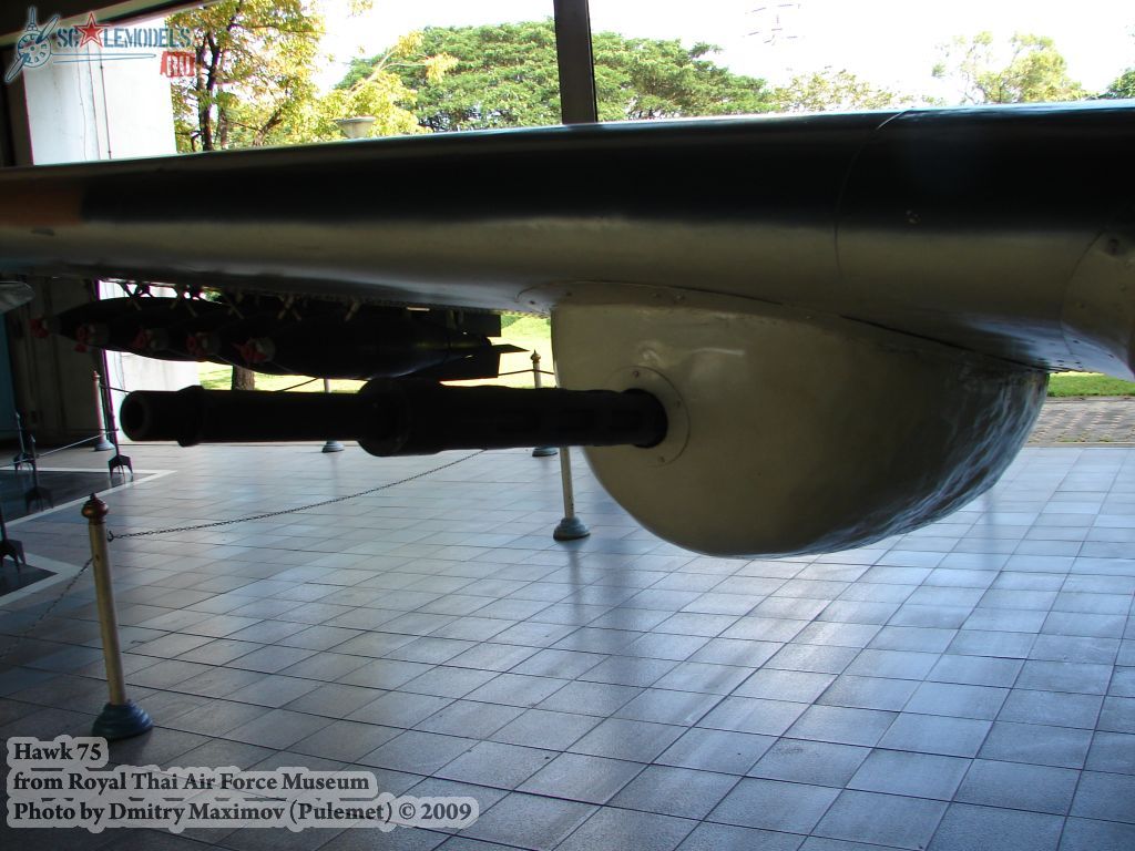 w_hawk75_thai_49.jpg