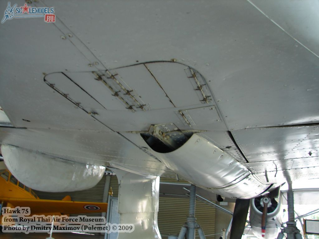 w_hawk75_thai_71.jpg