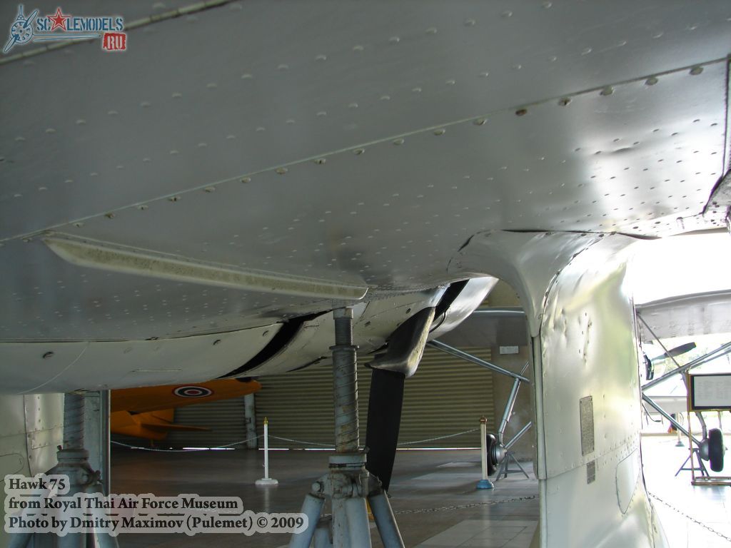 w_hawk75_thai_73.jpg