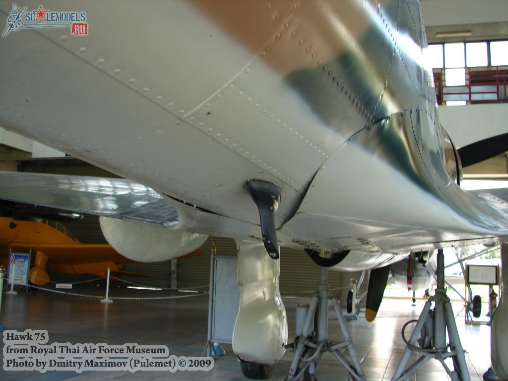w_hawk75_thai_85.jpg