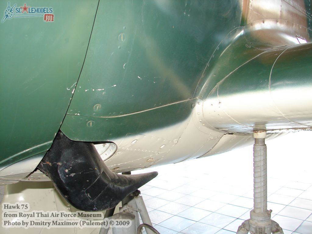 w_hawk75_thai_164.jpg